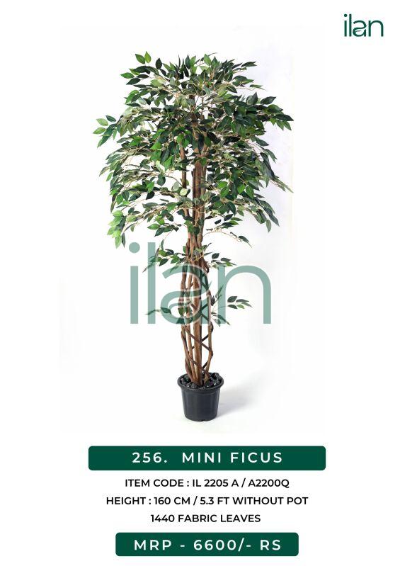 Artificial mini ficus plants, Size : 5.3 FT