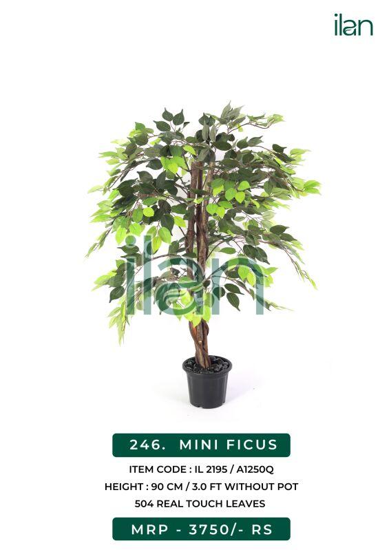 Mini ficus 2195 artificial trees, Size : 3 FT