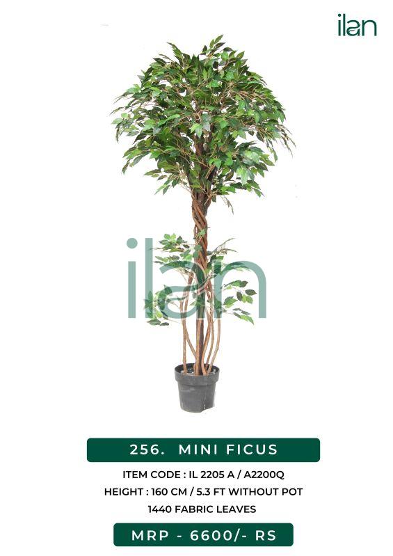Mini ficus 2205 a artificial plants, Size : 5.3 FT
