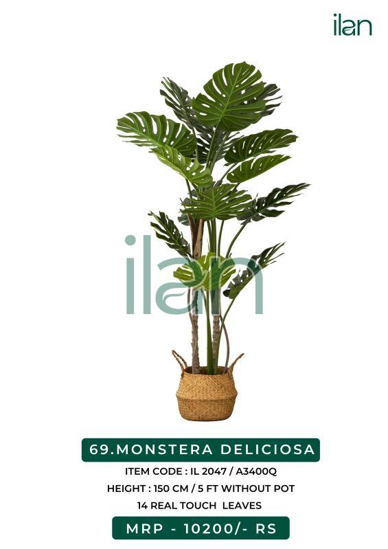 Monstera deliciosa artificial plants, Size : 5 FT