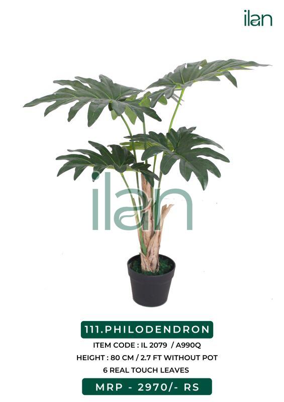 Philodendron decorative plant, Size : 2.7 FT