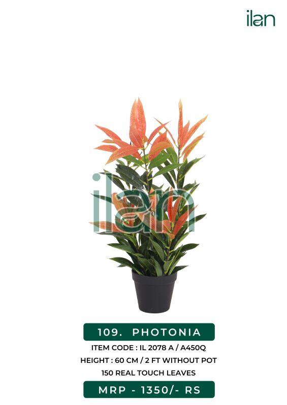 Photonia 2078 a artificial plant, Feature : Easy Washable