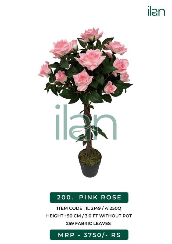 PINK ROSE, Occasion : Mall