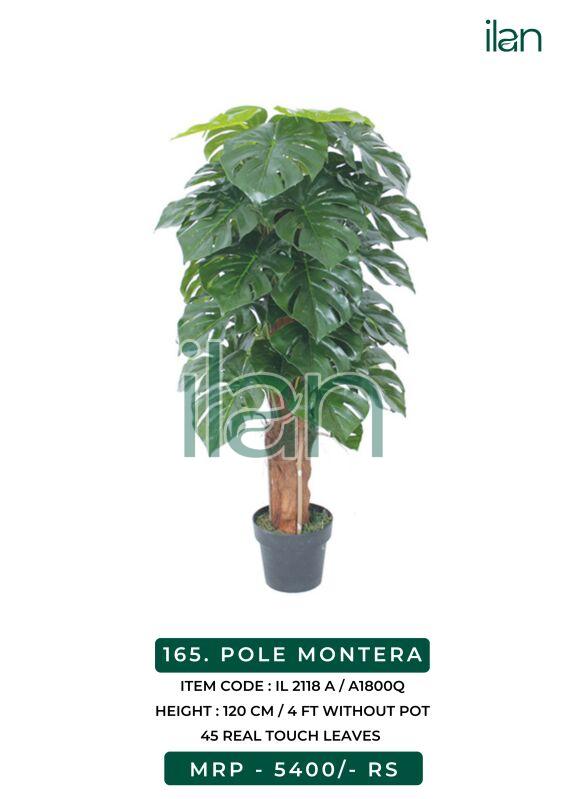 Pole monstera 2118 a artificial plant, Size : 4 FT