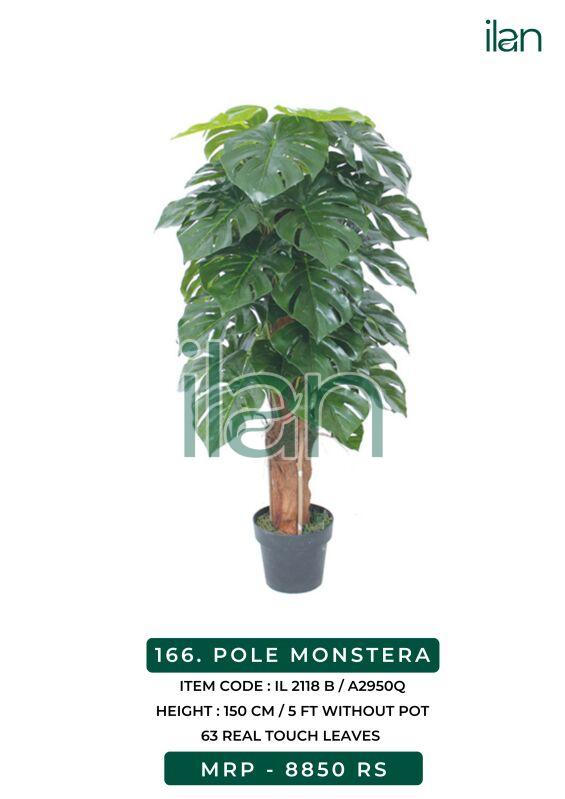 Pole monstera 2118 b artificial plants, Size : 5 FT