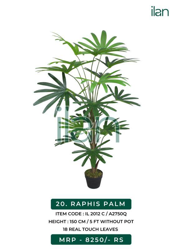 Raphis palm 2012 c artificial plants, Size : 5 FT