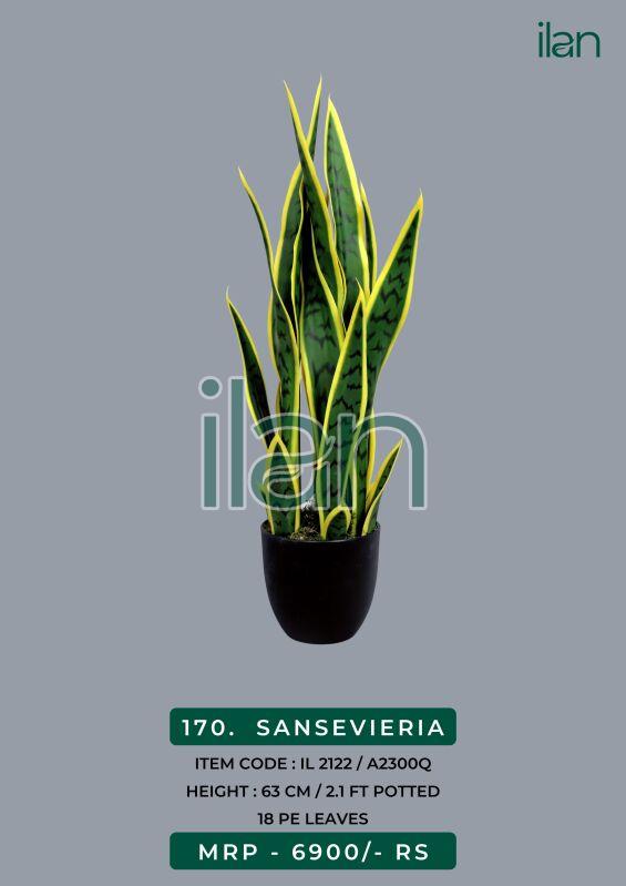 SANSEVIERIA, Feature : Easy Washable