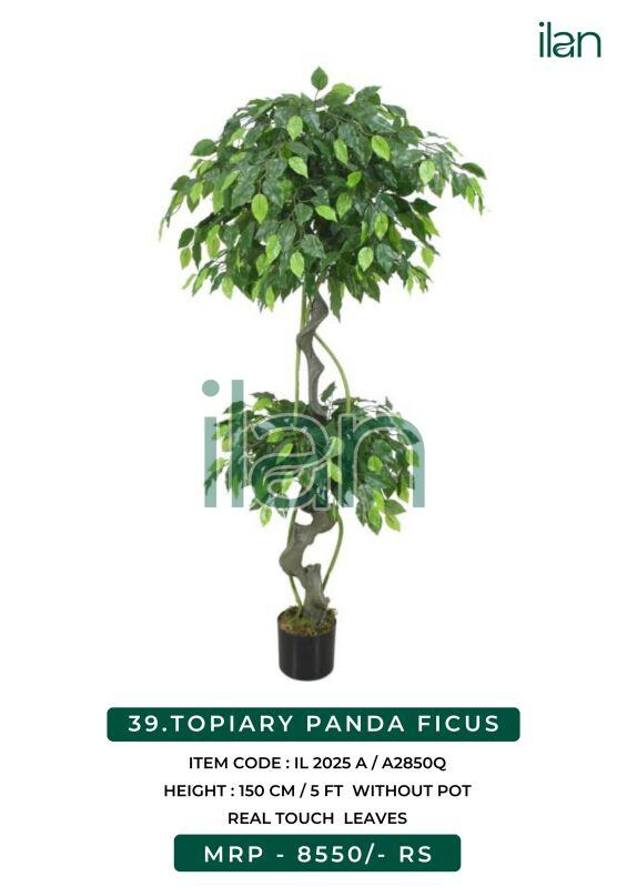 Topiary panda ficus artificial plants, Size : 5 FT
