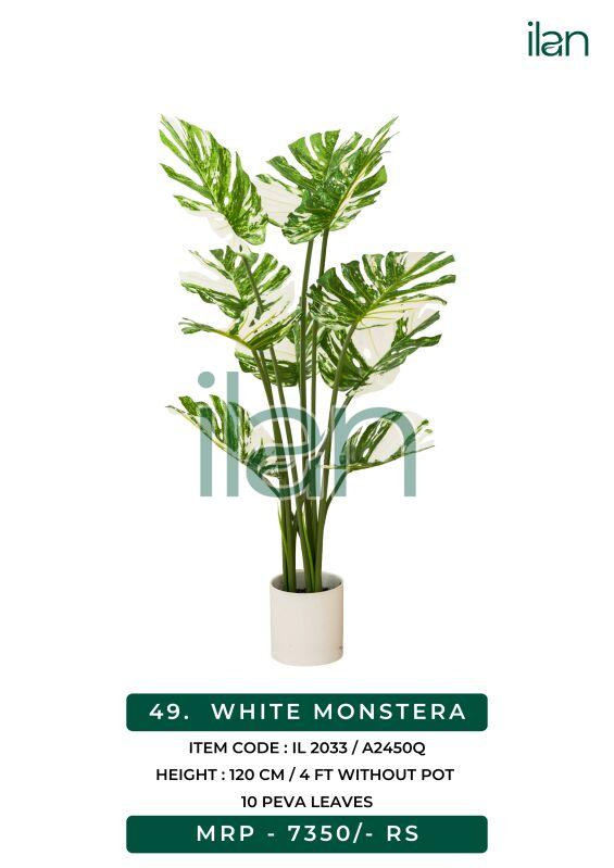 White monstera decorative artificial plants, Size : 4 FT