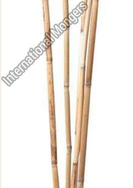 Brown Bamboo Sticks, for Decoration