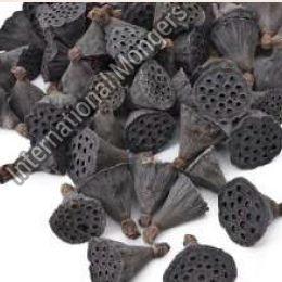 Mini Lotus Dried Flower, for Decoration, Feature : Nice Fragrance