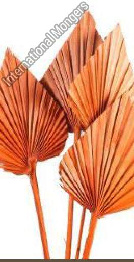 Natural Orange Palm Spear, For Decoration, Packaging Type : Box