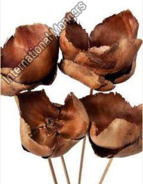 Natural Palm Cap Dried Flower, For Decoration, Packaging Type : Plastic Pack