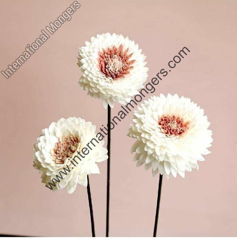 White Sola flower ns 2, for Home Decoration, Packaging Type : Packet