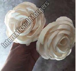 Sola Roma Rose Flower, Packaging Type : Plastic Bag