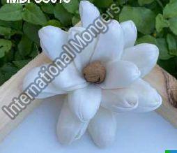 White Sola Sarega Flower, for Decoration, Packaging Type : Plastic Bag