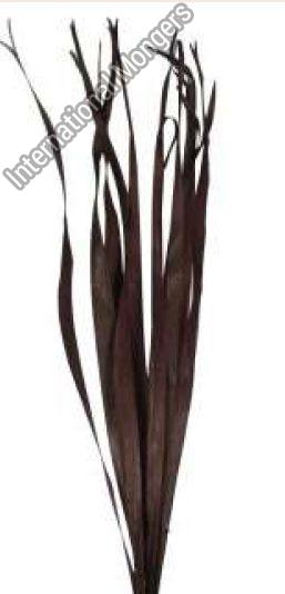 Sun palm leaves, Size : 80 cm