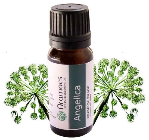 Natural Angelica Seed Oil