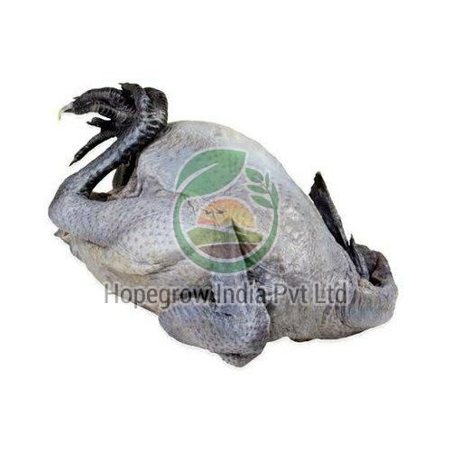 Fresh/Frozen Kadaknath Meat, Packaging Size : 1-10 Kg