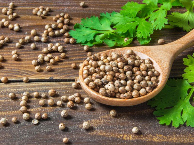 Common coriander seeds, for Cooking, Certification : FSSAI