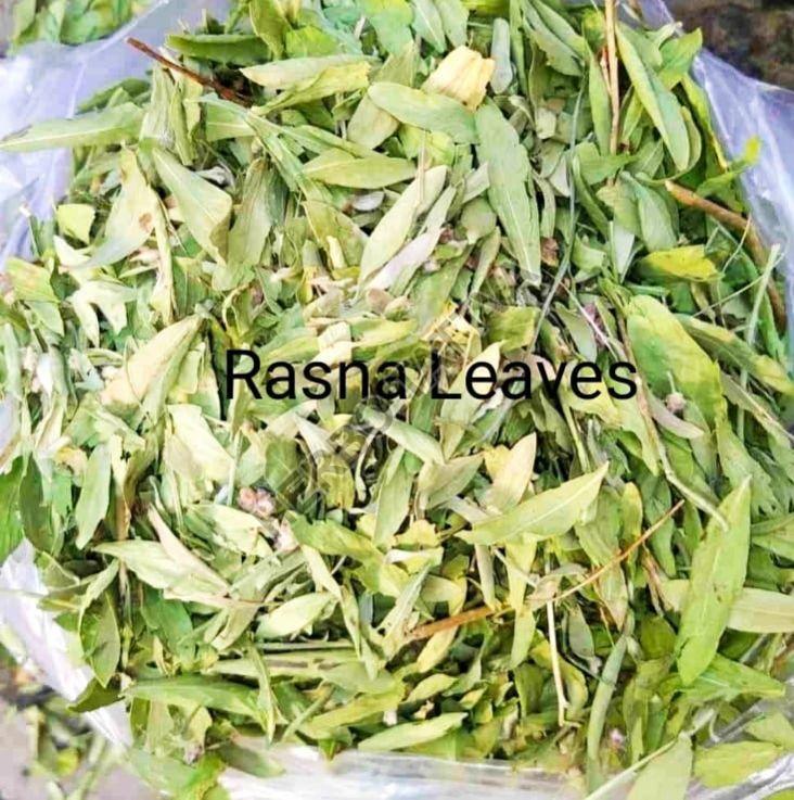 Natural Rasna Leaves (Pluchea Lanceolata), Packaging Type : PP Bags