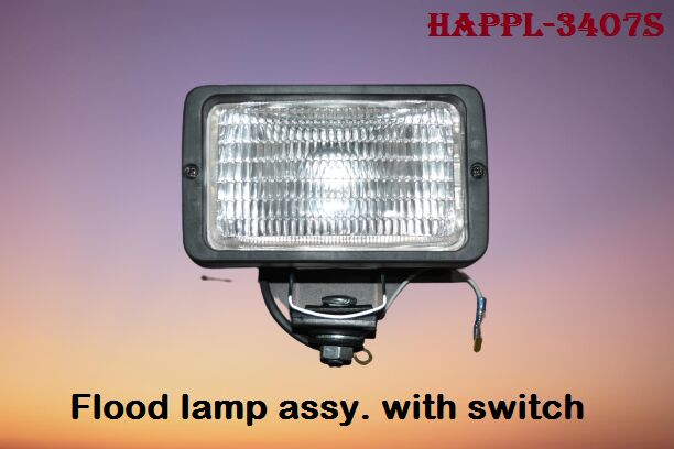 Flood Light Assembly with Switch