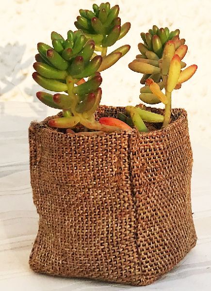 3×3 inch Golden Weaves Pot Cover, Color : Brown