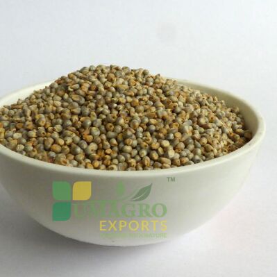 Natural Millet Seeds, for Cattle Feed, Human Consumption, Style : Dried