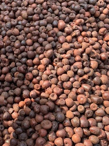 Dried Red Betel Nuts, Packaging Type : Loose