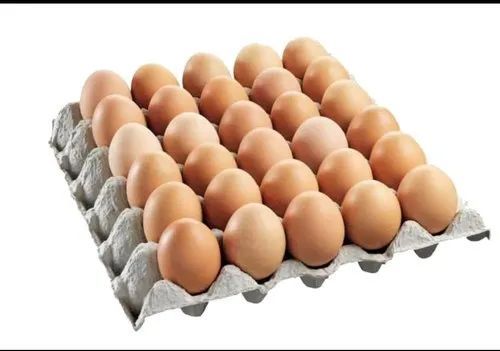 Brown Pure Desi Eggs, for Bakery Use, Human Consumption, Packaging Type : Caret, Tray