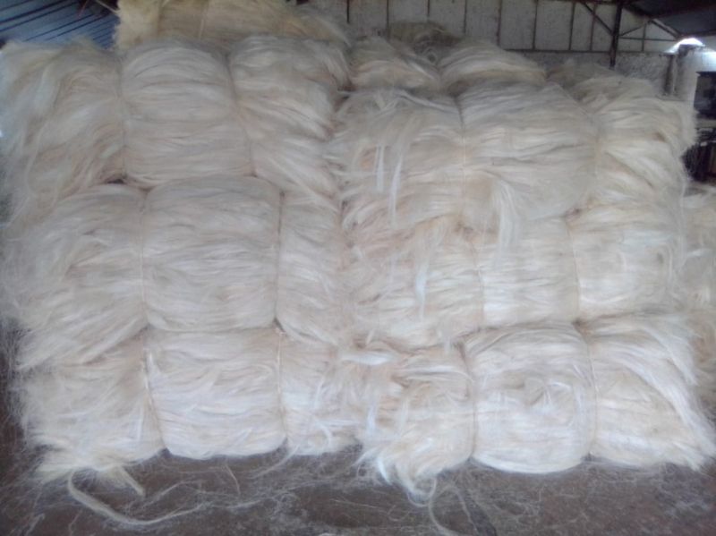natural raw sisal fiber