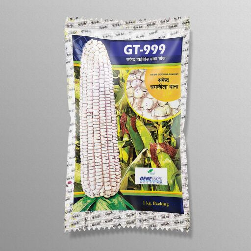 GT 999 Double Cross White Maize Seeds