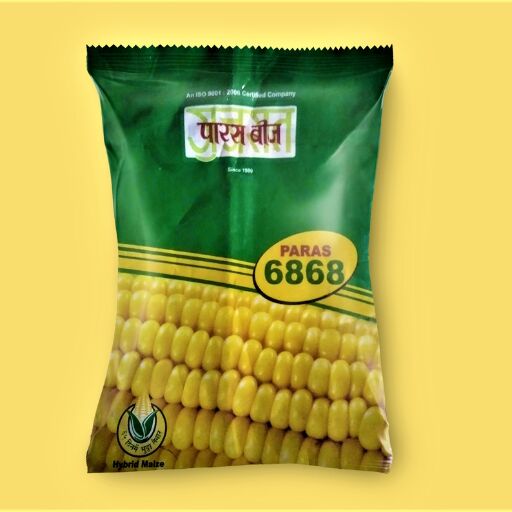 Paras 6868 Single Cross Yellow Maize Seeds