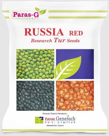 Organic Russia Red Tur Seeds, Shelf Life : 1Year