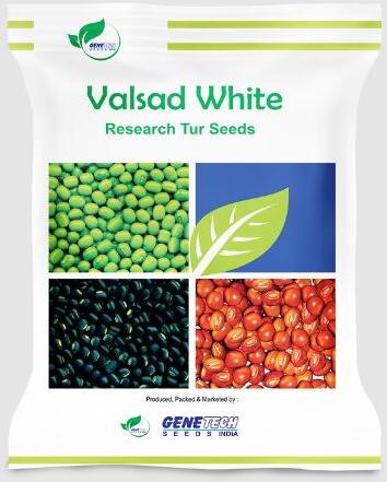 Organic Valsad White Tur Seeds, Packaging Type : Plastic Bag
