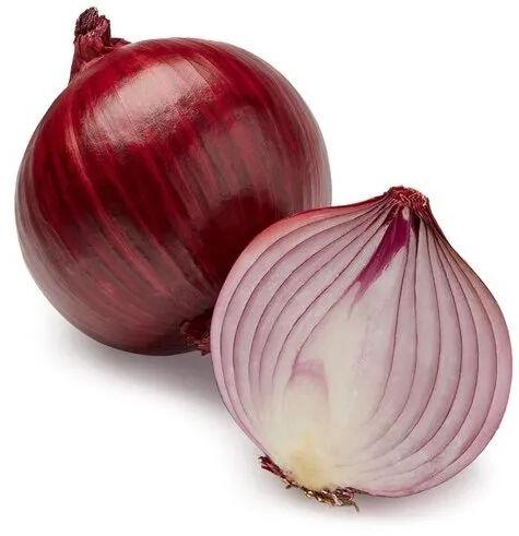 Natural fresh onion, Packaging Type : Plastic Bags