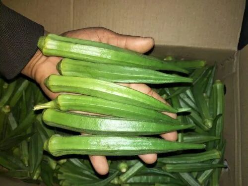 Fresh vegetables, Packaging Size : 10 Kg