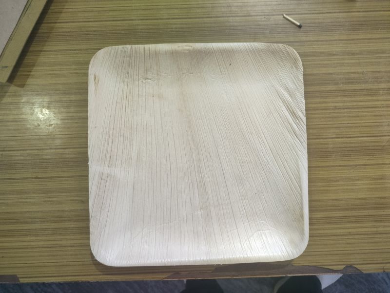 Areca Leaf Eco Friendly Disposable Plates, For Serving Food, Shape : Rectangular, Round, Square