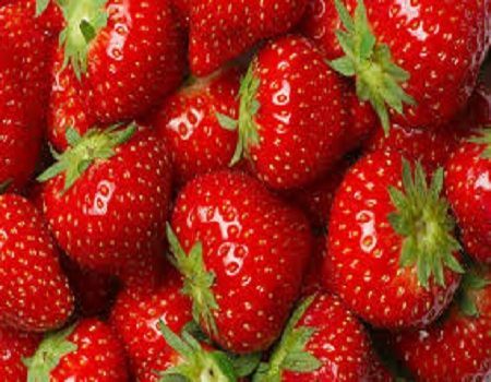 fresh strawberry
