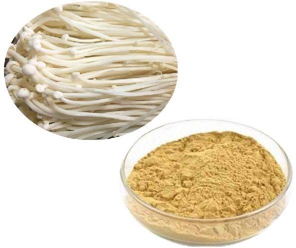 Enoki Mushroom Powder, Packaging Type : Vaccum Pack