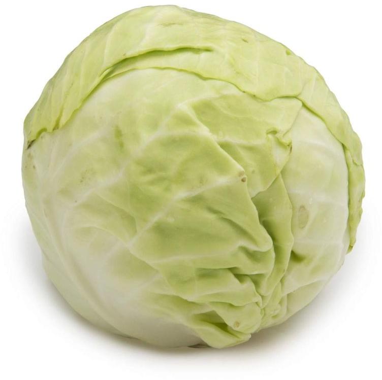 Green Natural Fresh Cabbage, for Human Consumption, Cooking, Shelf Life : 10 Days