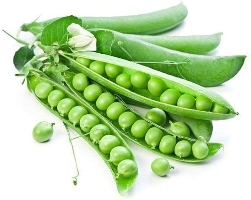 Natural Fresh Green Peas, for Cooking Use, Shelf Life : 5-7 Days