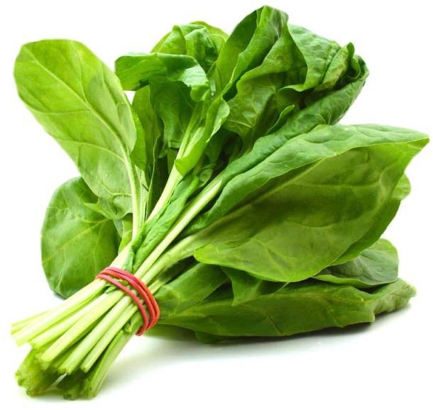 Natural Fresh Spinach Leaves, for Cooking, Packaging Type : Plastic Bag