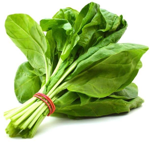 Fresh Spinach Leaves