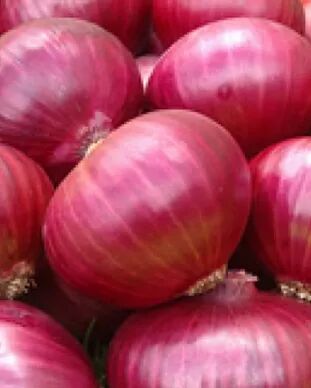 Natural fresh onion