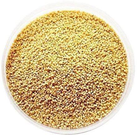 Organic Foxtail Millet Seeds, for Cooking, Cattle Feed, Style : Dried