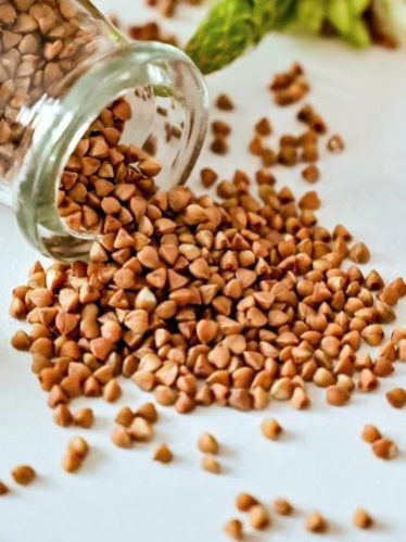 Kuttu Buckwheat Seeds