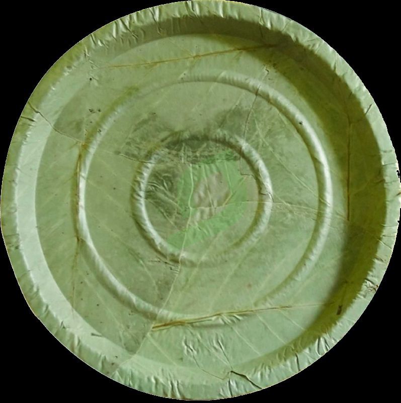 Round 12.5 Inch Sal Leaf Plates, Color : Green