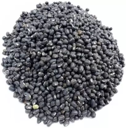 Natural Whole Urad Dal, for Cooking, Packaging Type : Plastic Packet