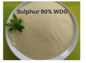 Sulphur 90% WDG Powder, Purity : 99.97%